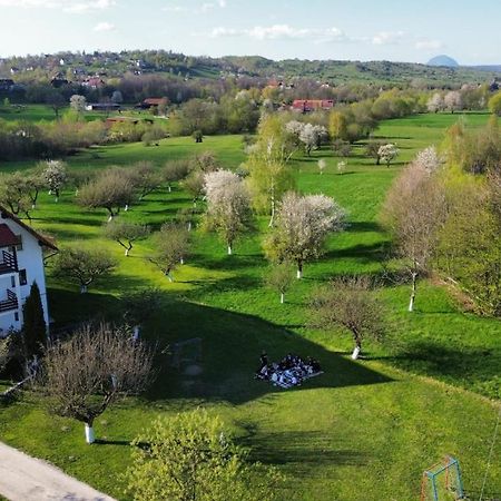 Pensiunea Din Livada Bran  Buitenkant foto