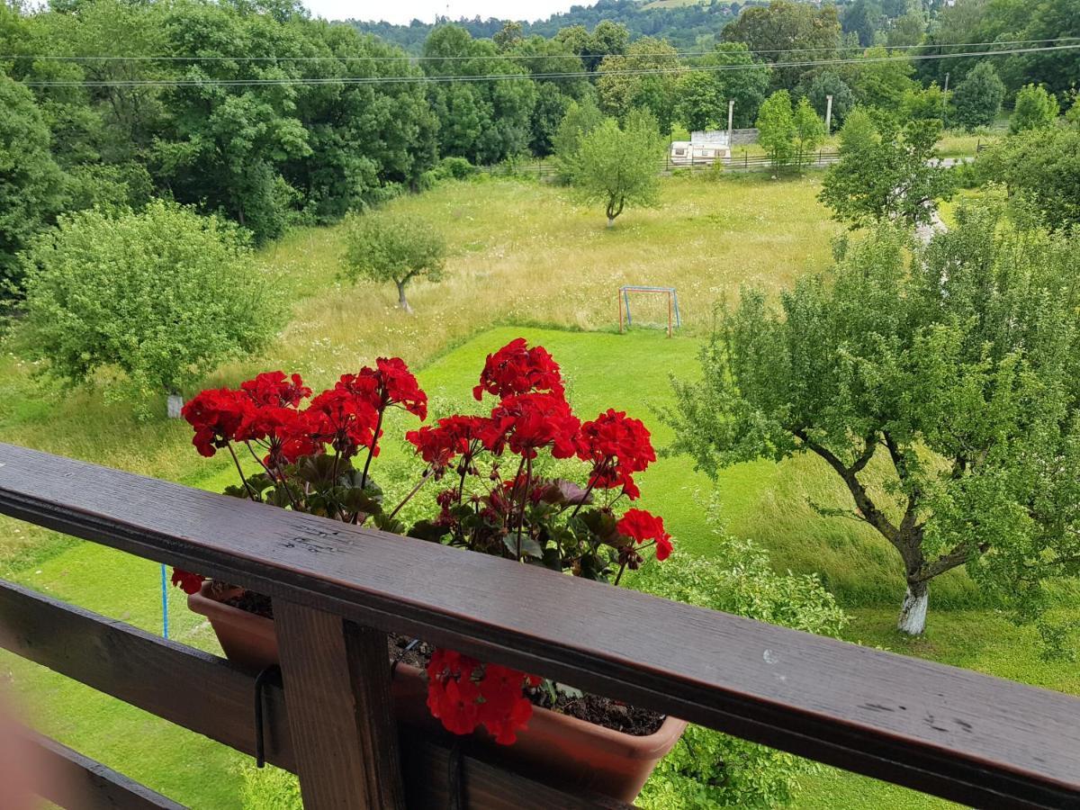 Pensiunea Din Livada Bran  Buitenkant foto