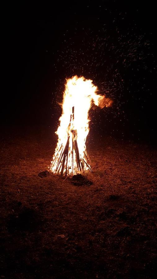 Pensiunea Din Livada Bran  Buitenkant foto