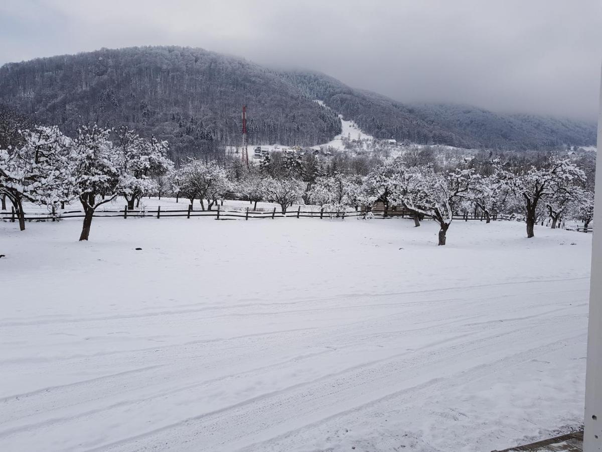 Pensiunea Din Livada Bran  Buitenkant foto