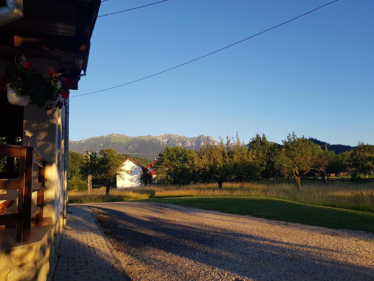 Pensiunea Din Livada Bran  Buitenkant foto