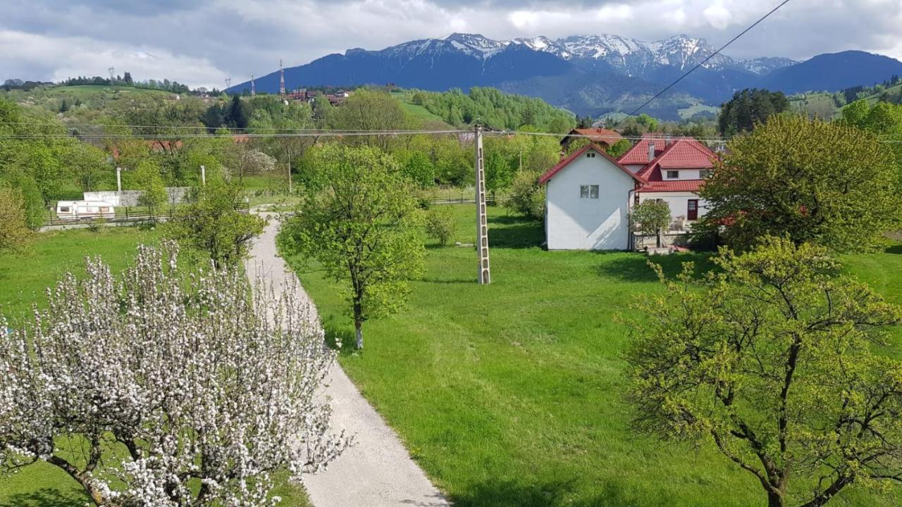 Pensiunea Din Livada Bran  Buitenkant foto