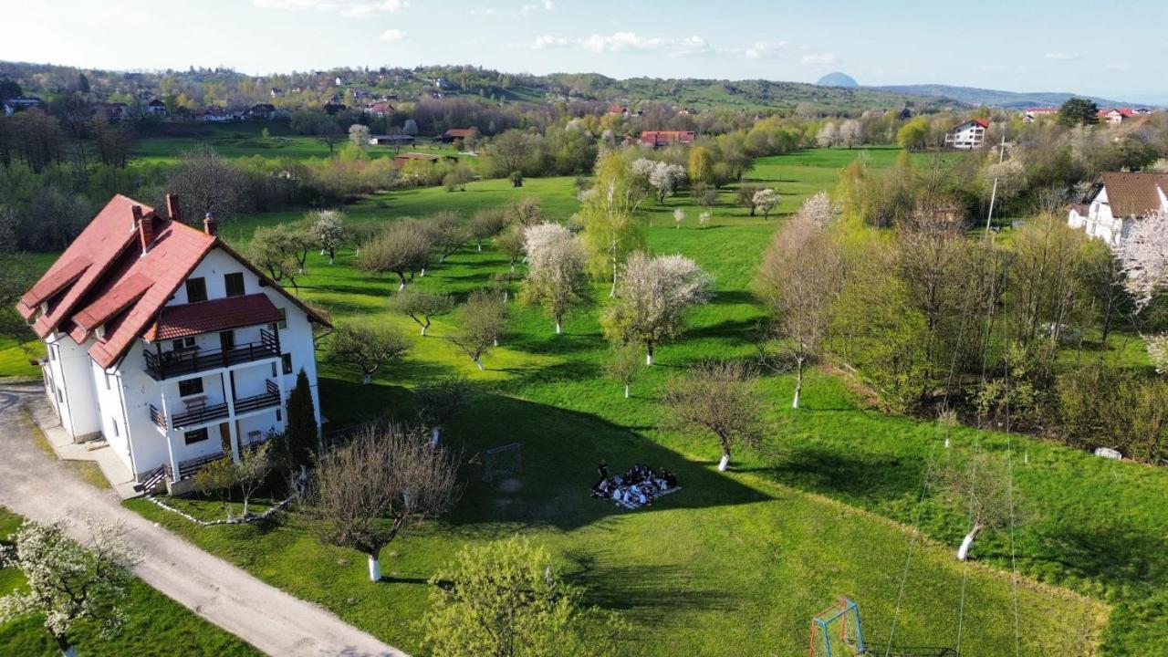 Pensiunea Din Livada Bran  Buitenkant foto