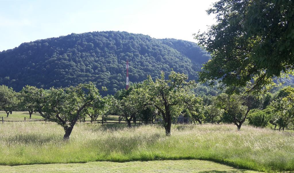 Pensiunea Din Livada Bran  Buitenkant foto